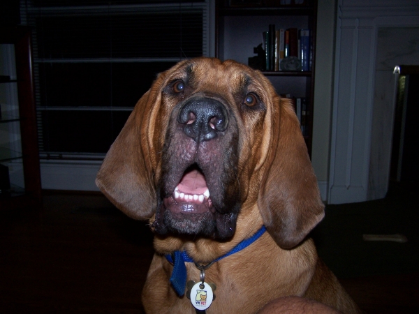 Webb says picture.JPG